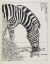 Paul JOUVE (1878-1973) - Afrique Equatoriale Française, de René Marran, 1937.